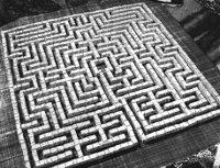 labyrinth 29