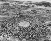 maze